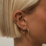 The Essential SleepersBy Rae