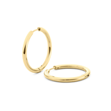 The Tate Hoops